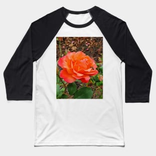 Orange rose with a bee Baseball T-Shirt